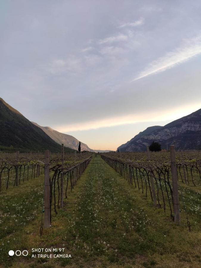 Agriturismo Revena Brentino Belluno Exteriör bild