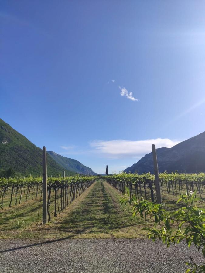 Agriturismo Revena Brentino Belluno Exteriör bild
