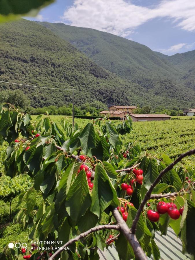Agriturismo Revena Brentino Belluno Exteriör bild
